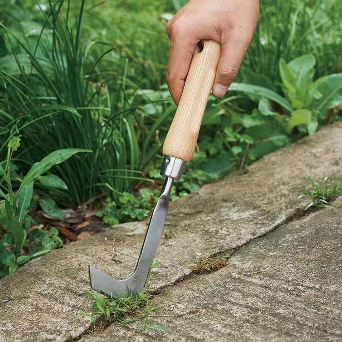 Alat pencabut rumput liar paving celah sudut