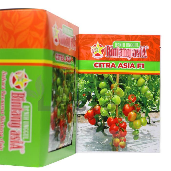 Benih Tomat Citra Asia F1 5 Gram Benih Bintang Asia