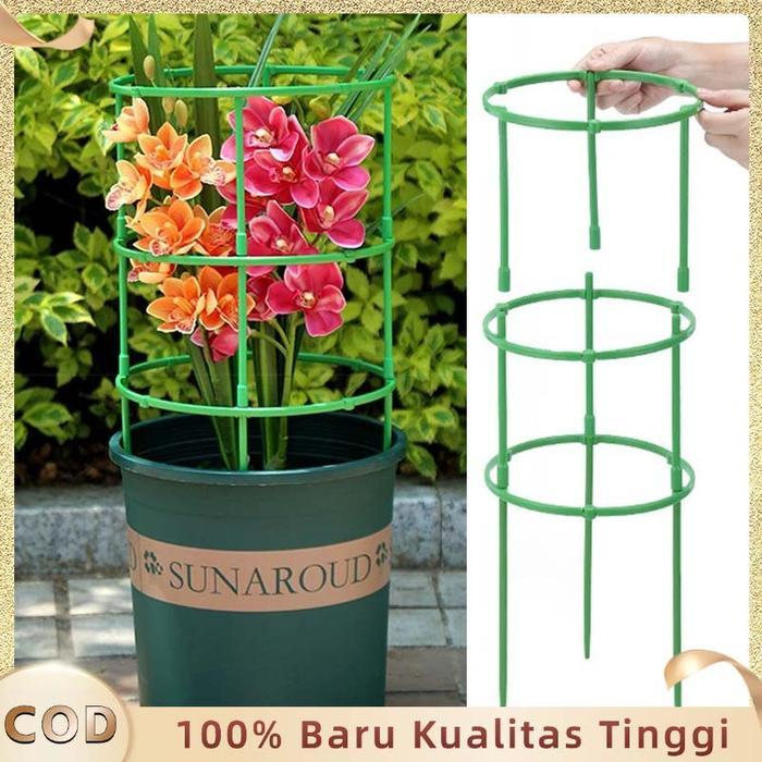 Terlaris Alat Penyangga Tanaman Lanjaran Tanaman Merambat Penyangga Tanaman Tomat Turus Tanaman