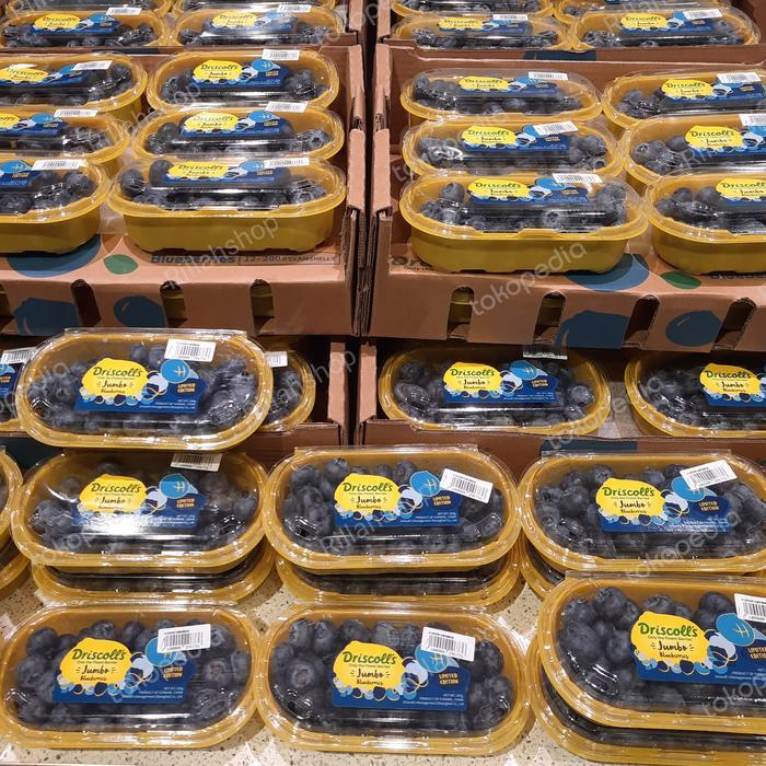 blueberry jumbo driscoll's fresh