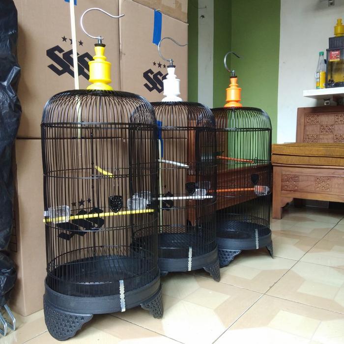 SANGKAR KANDANG BURUNG LOVEBIRD BESI KANDANG BURUNG BESI KAPSUL DIAMETER 33CM