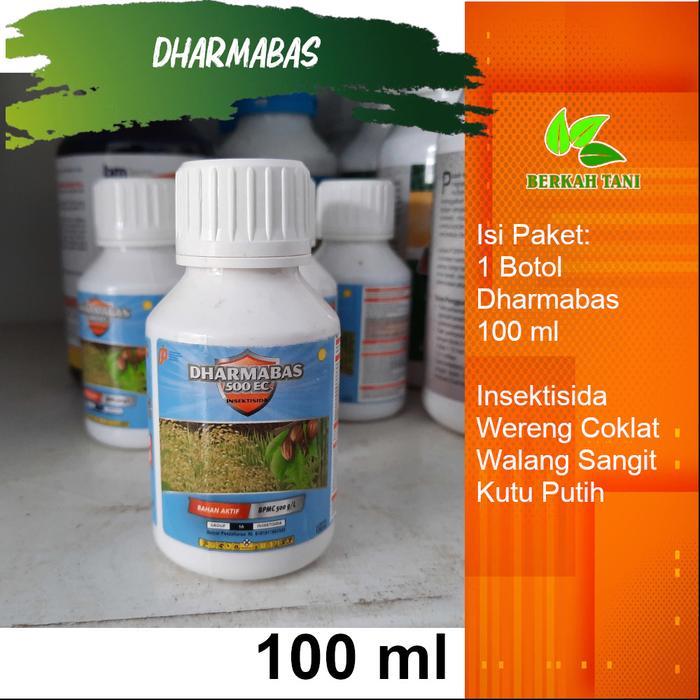 Najwa Gadget Dharmabas 100 Ml Insektisida Kutu Kebul Kutu Putih