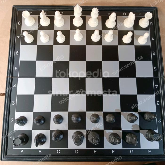 Papan catur magnet besar