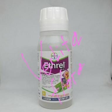 Zpt Ethrel 100Ml Terbaik
