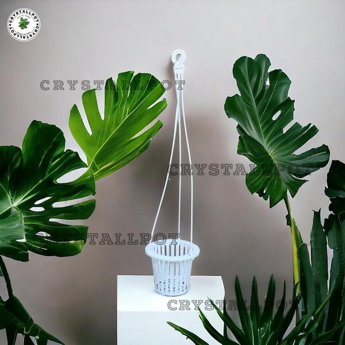 pot bunga anggrek 14cm +gantungan Plastik Putih