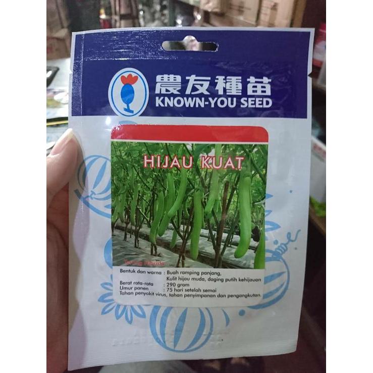 Premium Benih Terong Hijau Kuat Known You Seed (5 Gram) Original