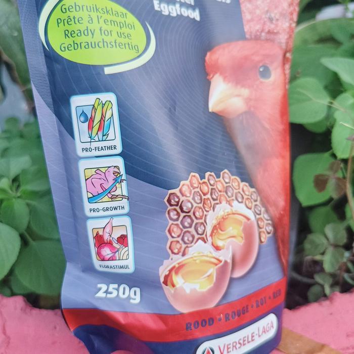 Gold Patte Red Atau Red Patte Pakan Burung Import Untuk Kenari Merah Dan Bisa Untuk Ef Lovebird