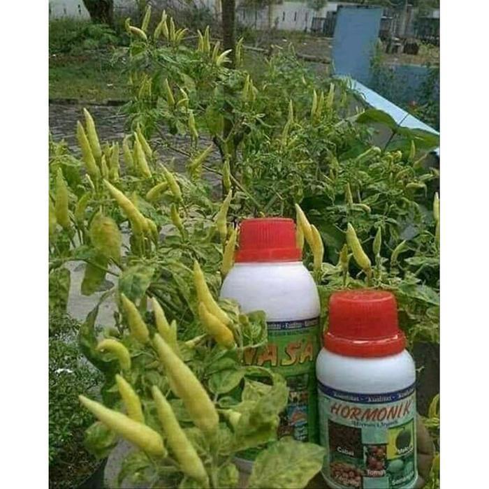 PUPUK ORGANIK NASA 1 PAKET / PUPUK CAIR ORGANIK NASA / POC NASA 500CC DAN HORMONIK 100CC