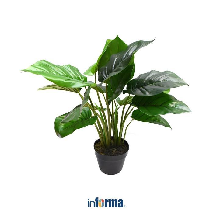 Informa Tanaman Artifisial Pothos 60X60X60 cm Tanaman Plastik Pajangan Rumah Dekorasi Ruangan Hiasan