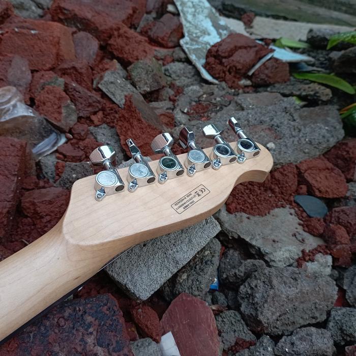 Gitar Herley Benton Telecaster Shell Pink - IM