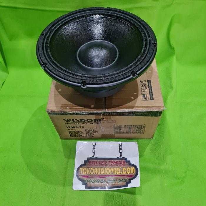 Component Speaker Wisdom W30073 Speaker Component Original Wisdom W300-73 W-30073 Co