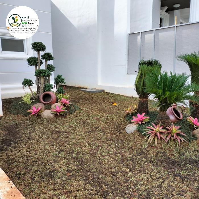 taman bonsai jepang /taman rumput / pembuatan taman jepang / bibit rumput taman jepang siap tanam