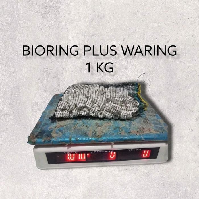 Media Filter Bio ring 1kg/bio ring kramik/bio ring 1kg