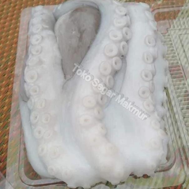 Gurita / Octopus Fresh Baby Octopus 1Kg Seafood Hasil Laut Segar Terjamin