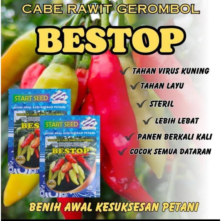 2000 Biji Benih Cabe Rawit BESTOP / Bibit Unggul Cabe rawit / Cabai Rawit Gerombol Buah Lebat Tahan