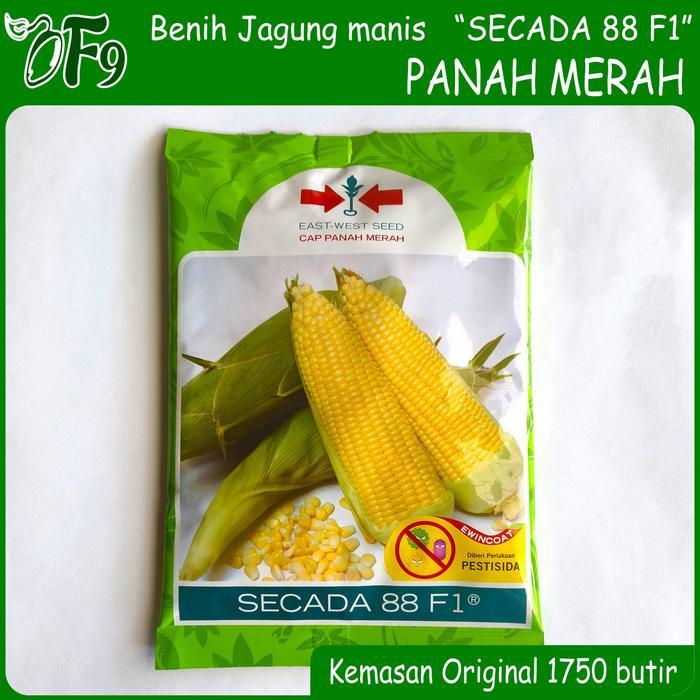 Serasiinspace Benih Bibit Jagung Manis Secada 88 F1 1750 Butir Panah Merah