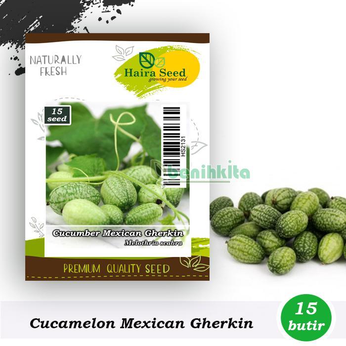 BENIH-BIBIT CUCAMELON MEXICAN GHERKIN (HAIRA SEED)