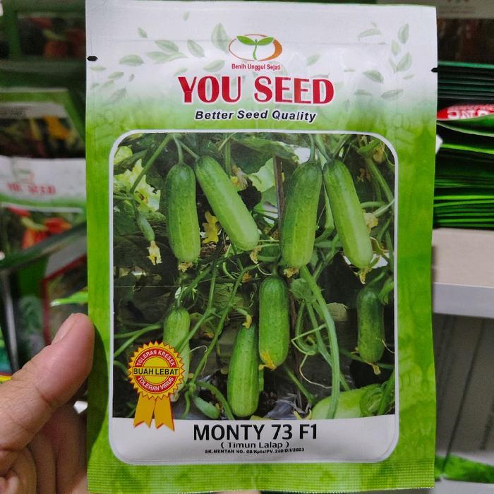 Benih timun lalap MONTY 73 20 gram timun baby dari you seed