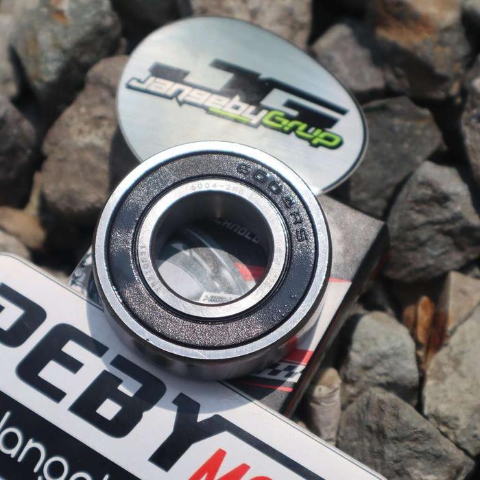 Bearing Laher Roda Depan Belakang TDR 6004 6201 6203 6300 6301 6302 ORIGINAL