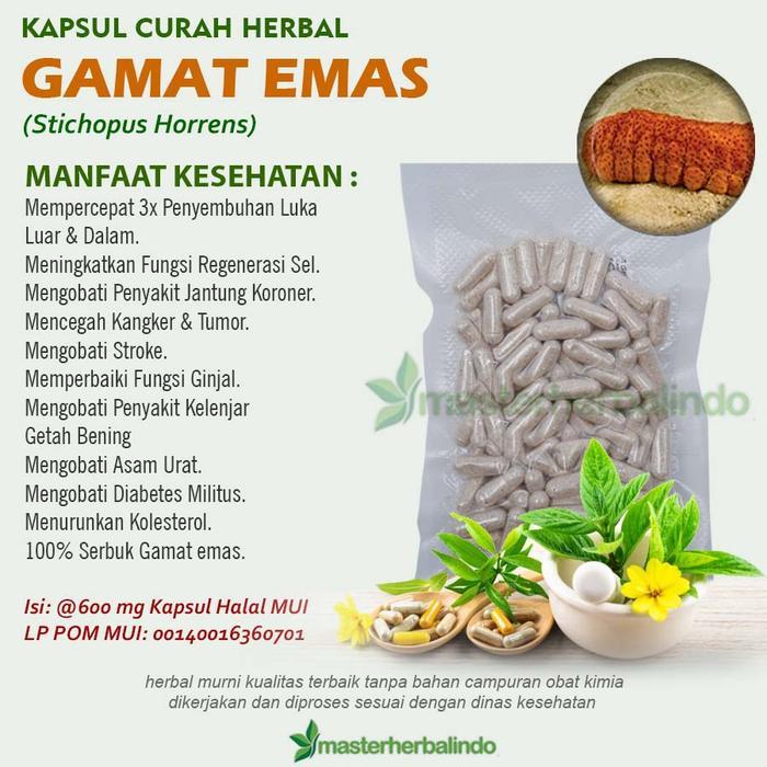 KAPSUL CURAH GAMAT EMAS ANTI AGING KESUBURUAN PRIA KANKER 100 CAPSUL