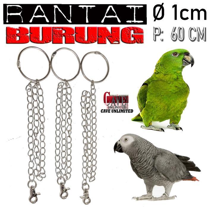 Rantai rante ring borgol kaki burung love bird betet parkit lovebird