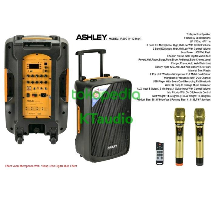 Portable aktif speaker ashley ir 500 / IR500