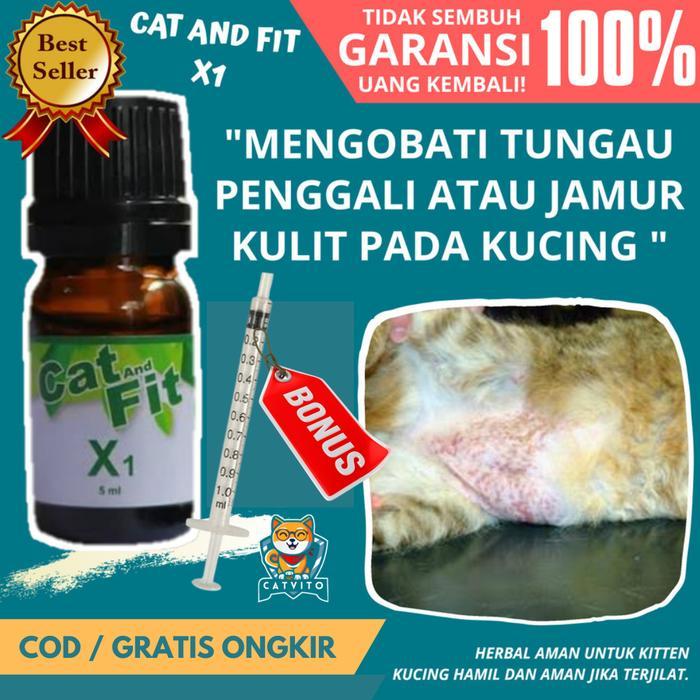 Cat And Fit X1 Obat Tungau Kucing 5Ml Mengobati Scabies Jamur Kutu & Parasit Berbahaya Aman Hamil &