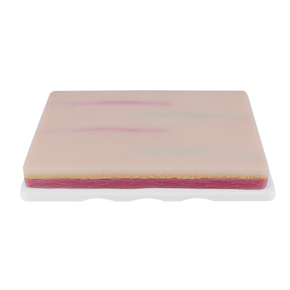 Medical IV Injection Model Venipuncture Injection Practice Pad IV Training Pad