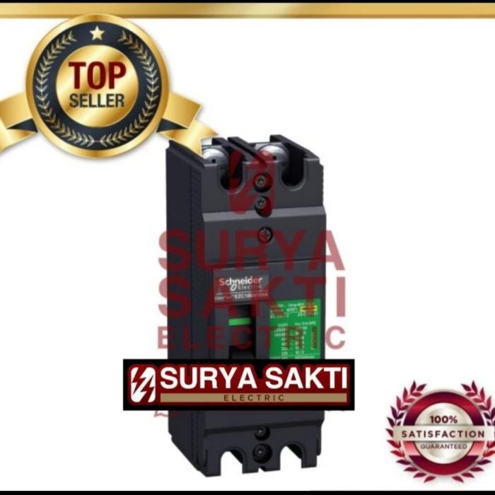 Schneider Easypact Mccb Ezc100H 80A / 80 A 2P 30Ka Mccb