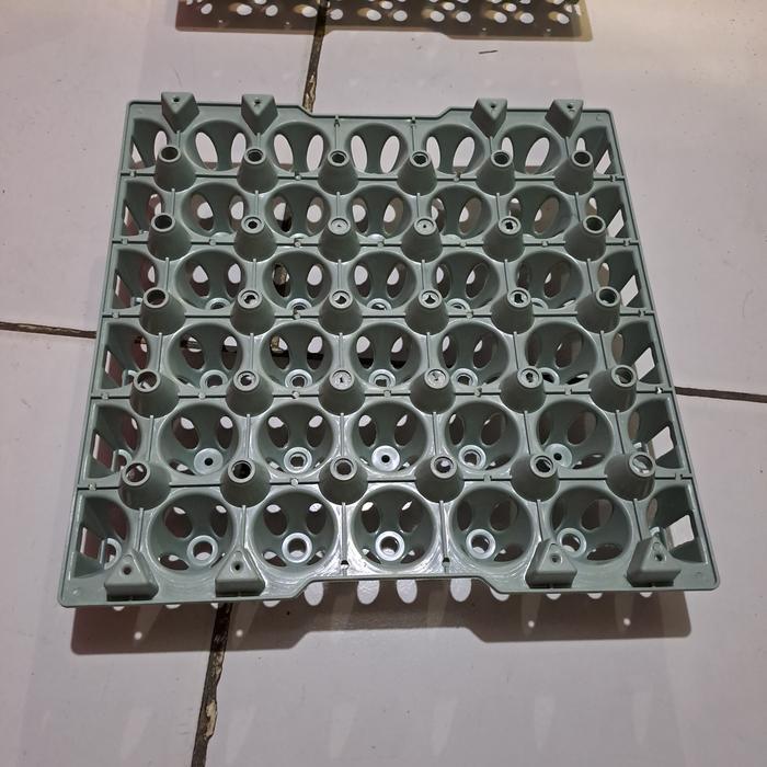 Egg Tray Plastik Tempat Telur