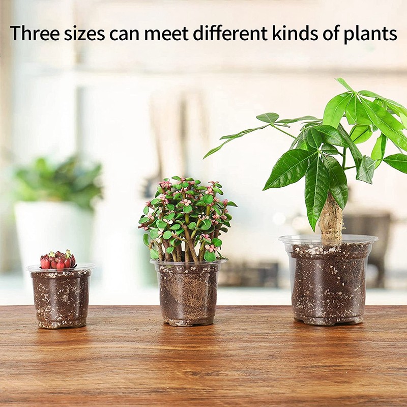 Transparent Flower Pot Seedling Cups Seed Growing Flowerpot Nursery Pot Garden Supplies Nursery