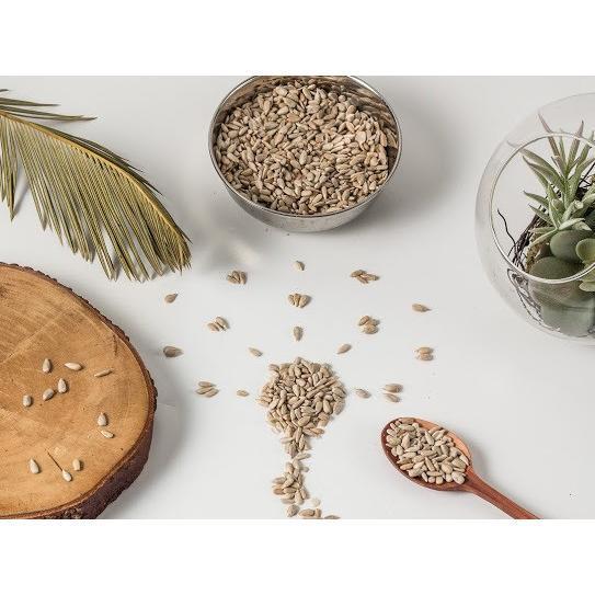 SUNFLOWER SEED RAW / BIJI BUNGA MATAHARI MENTAH