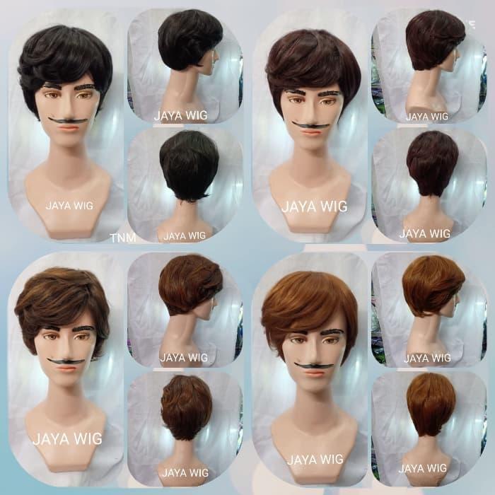Wig Pria /Rambut Palsu Pria /Wig Cowok /Wig Pendek /Wig Panjang
