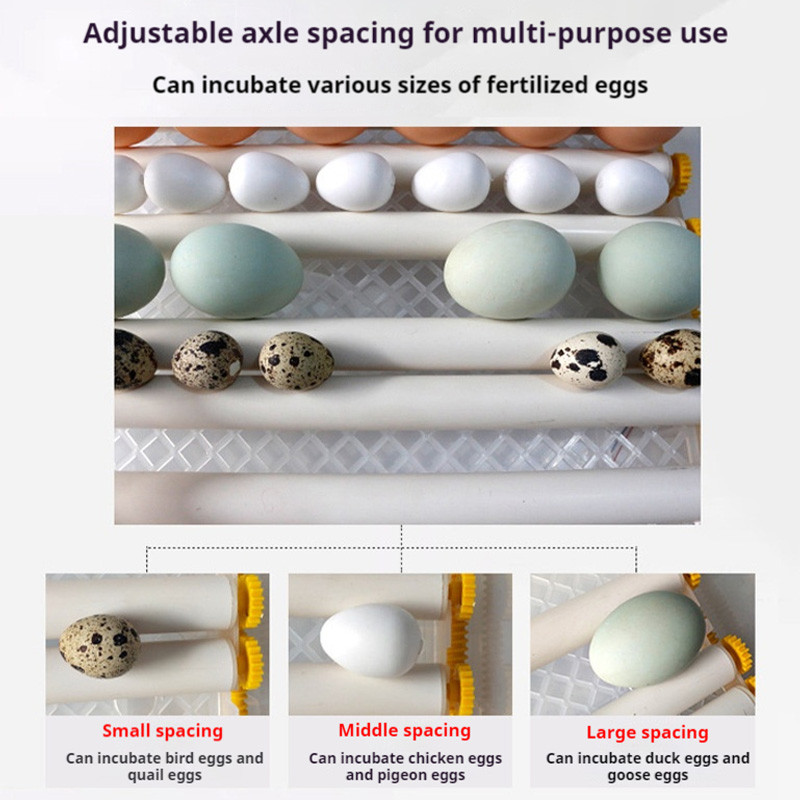16/36 Eggs Capacity Automatic Smart Egg Incubator Use Small Incubation Machine For Home Chicken Duck