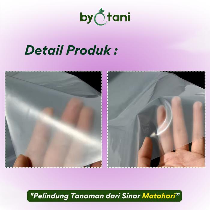 PLASTIK UV KADAR 14% TEBAL 250 MICRON LEBAR 6 METER - PLASTIK FILTER SINAR UV GREENHOUSE
