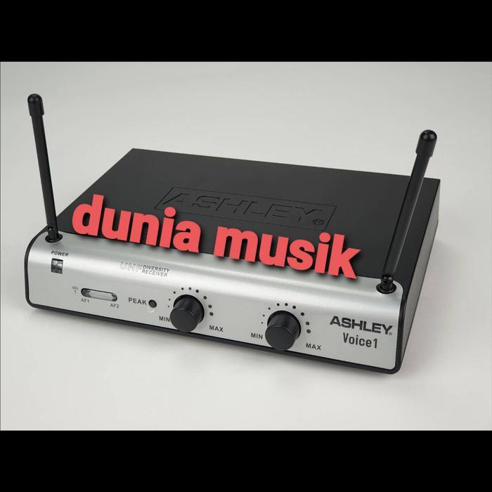 MIC WIRELESS PROFESIONAL ASHLEY VOICE 1 BANDO + JEPIT