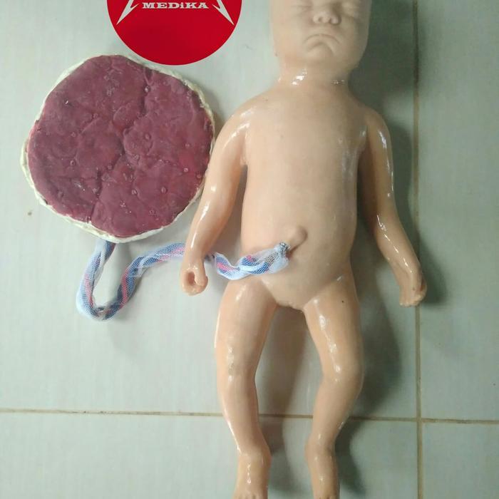Phantom/Manikin/Manekin/Bayi Plasenta Silicone