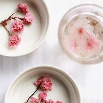 Bunga Edible Sakura Macaroon Hiasan Cake Puding Kue Teh Topper Flower