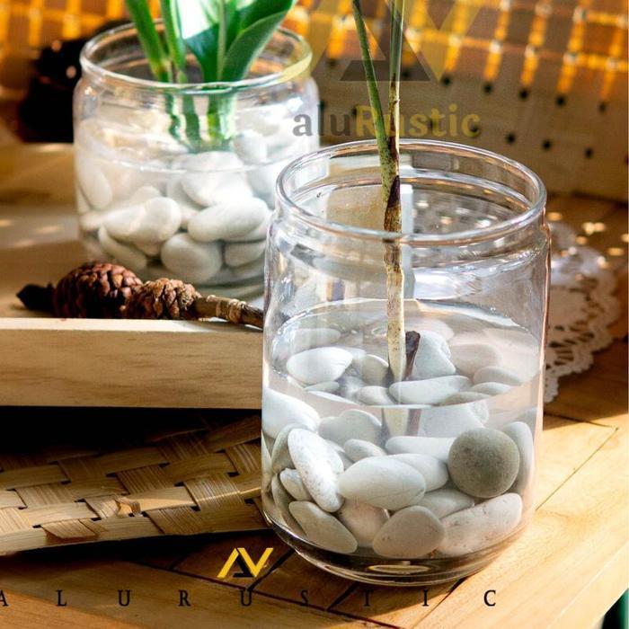 VAS BUNGA KACA / VAS KACA BENING / VAS KACA ESTETIK / VAS TANAMAN AIR