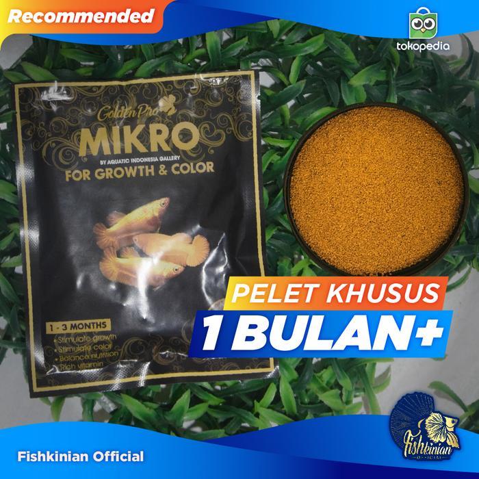 PELET IKAN CUPANG BETTA FISH - MIKRO UNTUK LUBUKAN