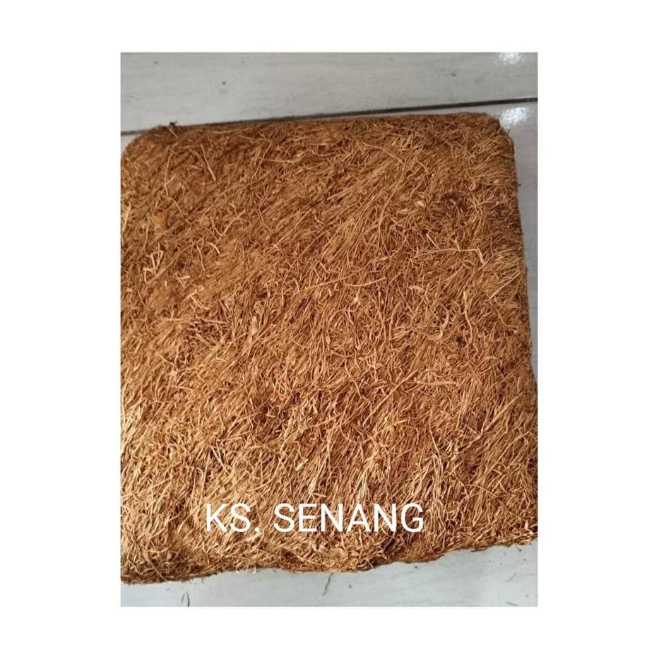 Ks Senang Rempah Daun Kering Ksturi Sultan Original Lombok Halus Sedang Tekstur Lengket Aroma Wangi
