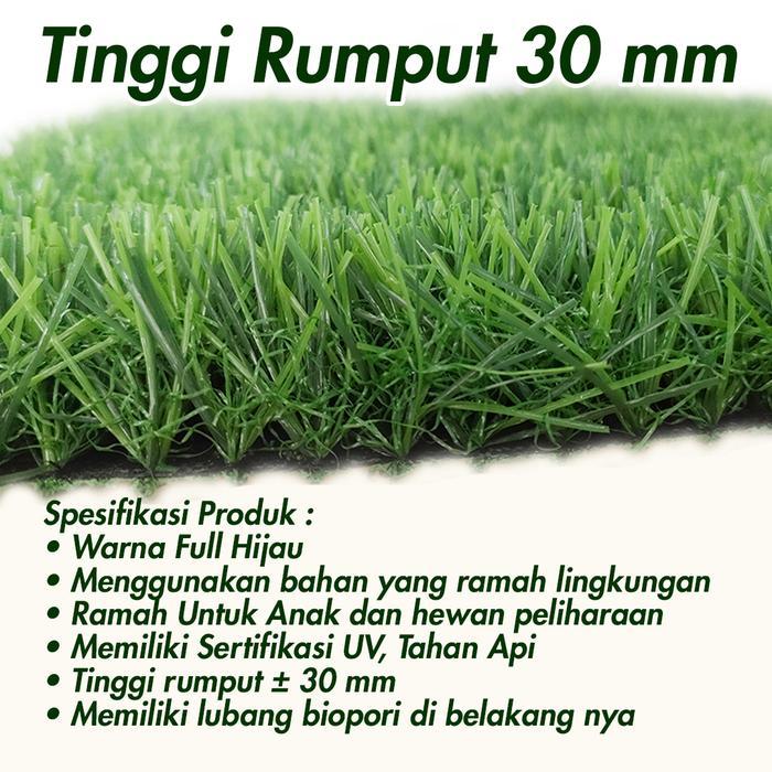 Rumput Sintetis Taman