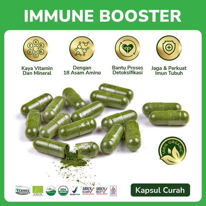 KAPSUL DAUN KELOR MORINGA - KAPSUL KELOR CURAH TANPA PENANDA