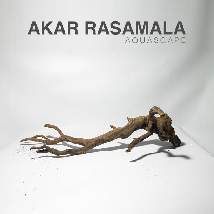 Akar Kayu Rasamala Aquascape Aquarium