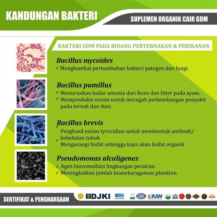 SUPLEMEN IKAN ARWANA ORGANIK GDM 5 LITER