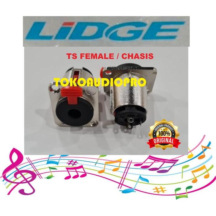 Lidge Akai Female Akai Chasis Jack Akai Tanam Co