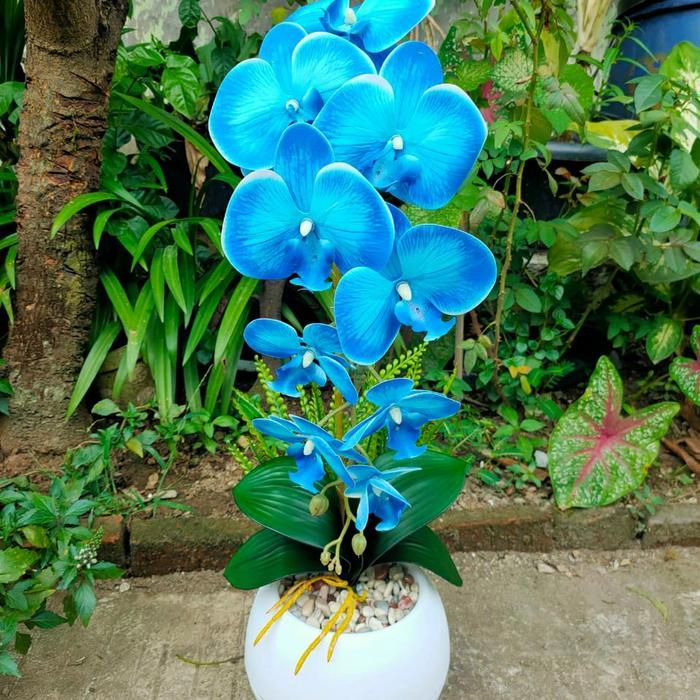 Anggrek Latex Vas Bola/Bunga Meja Anggrek Latex Vas Bulat