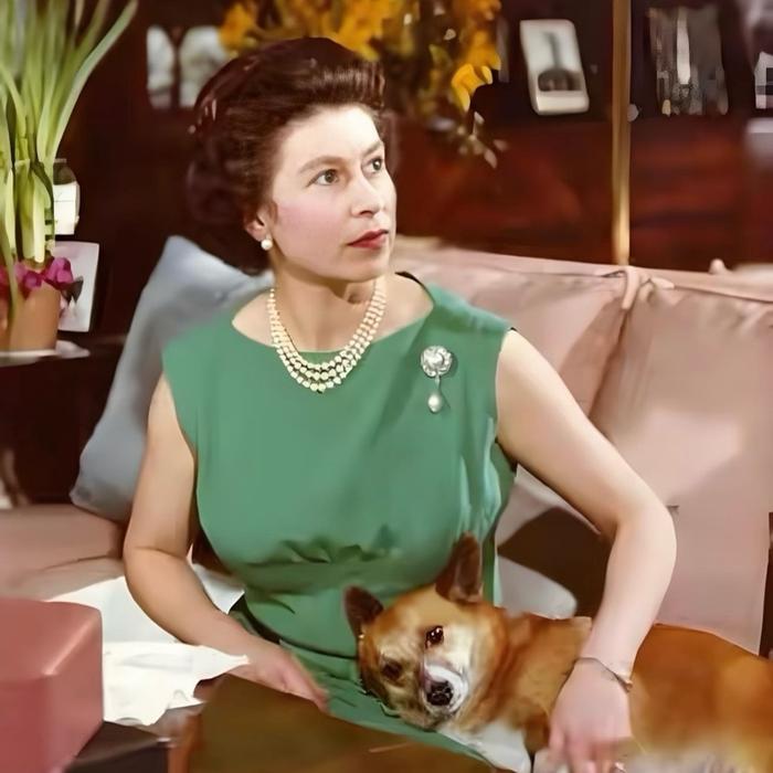 Bros Mutiara Asli Bros Dagu Vintage Mewah Elegan Emas Putih Hijab Hadiah Bros Kebaya Jas Terbaru