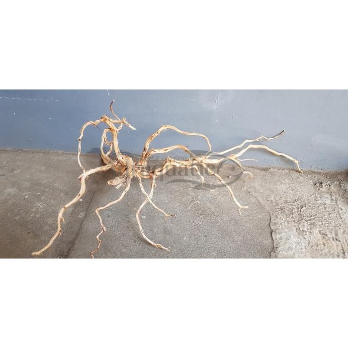 Kayu Ranting Besar Hiasan Aquarium Aquascape