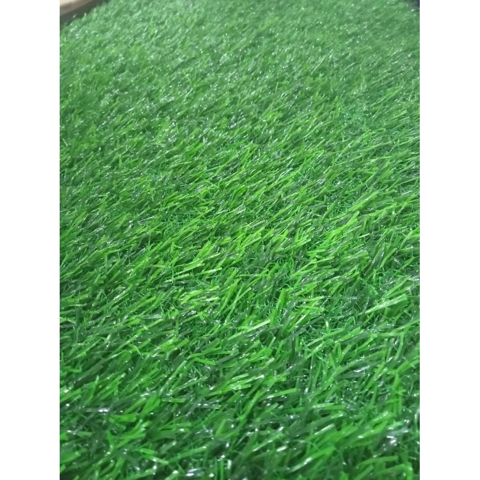 Rumput Sintetis Swiss - Karpet Rumput Sintetis